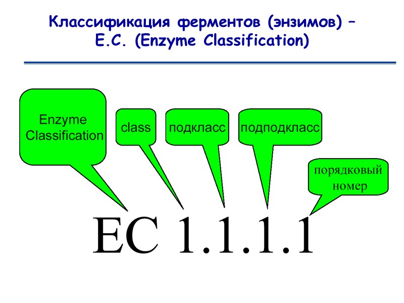 Классификация ферментов (энзимов) –  Е.С. (Enzyme Classification)